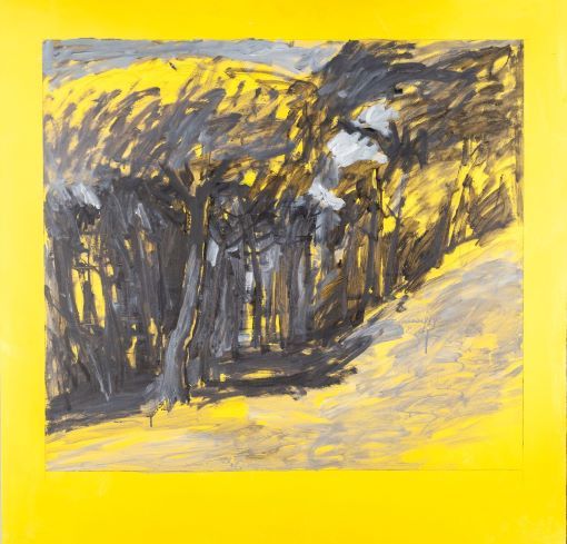 Serie groga_05